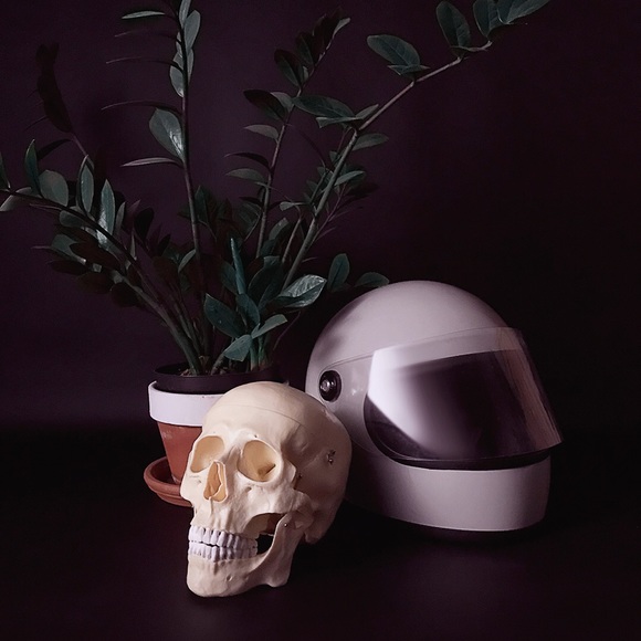 Meet your Posher, Freddy - Picture 1 of 1